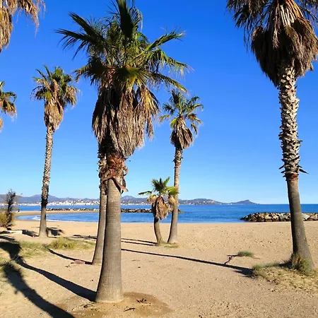 Les Eucalyptus-12 By Interhome Apartment